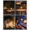 UMEXUS 2 Pack Small Cordless Table Lamp, 5200mAh Battery Operated