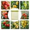 100 Large Fruit Protection Bags 7.9x11.8 Inch, Green Mesh Netting