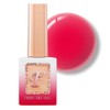 From the Nail Red Flavor Syrup Gel Single Item FS35 / 프롬더네일 빨간맛 시럽젤 단품 FS35