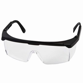 Ironside 343017 Safety Goggle CE-EN 166 in Black