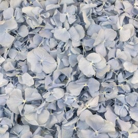 Petals and Roses Freeze Dried Hydrangea Petal Confetti | Natural & Biodegradable for Weddings, Sky Blue, 1 Litre