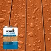 Olympic WaterGuard 1 gal. Woodland Cedar Transparent Wood Stain and