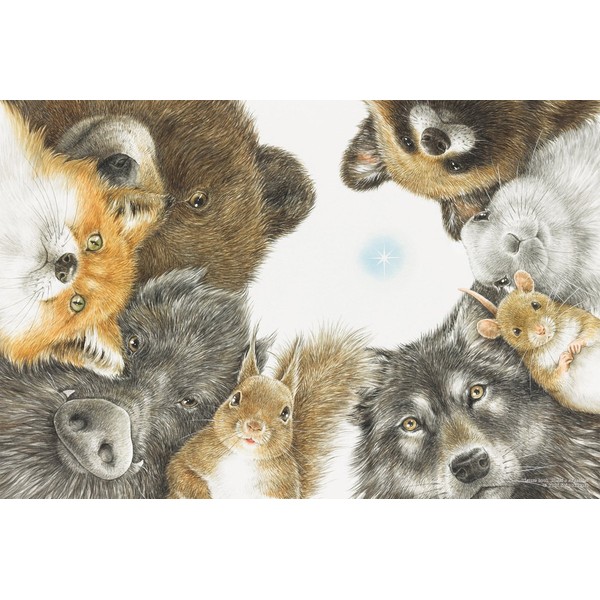 1000 Piece Jigsaw Puzzle, Yumi Shimokawara, Looking for Hoshi, 19.7