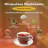 Teeccino Miraculous Mushrooms Adapt & Protect Coffee Alternative, 10 Oz