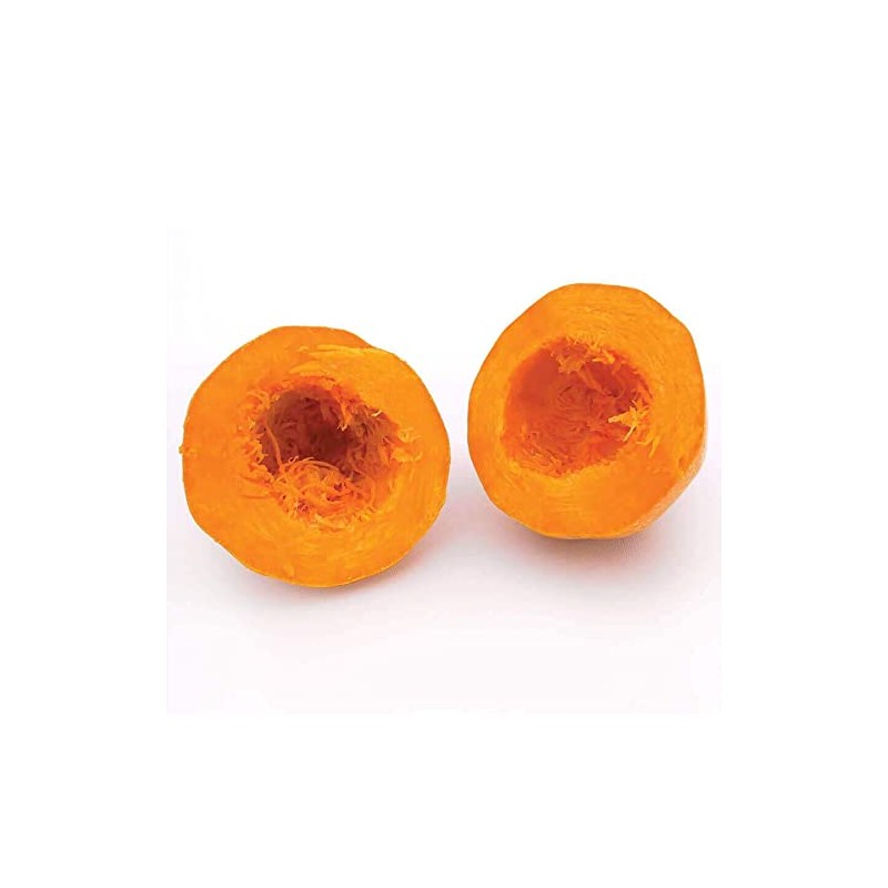 Park Seed Orangetti Spaghetti Organic Squash Seeds – Vibrant Orange