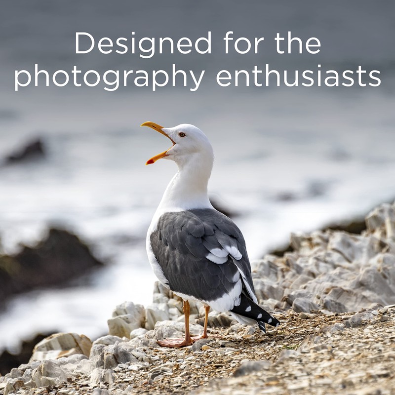 Integral Memory INCF4GV2 CompactFlash Memory Card green Green 4 GB