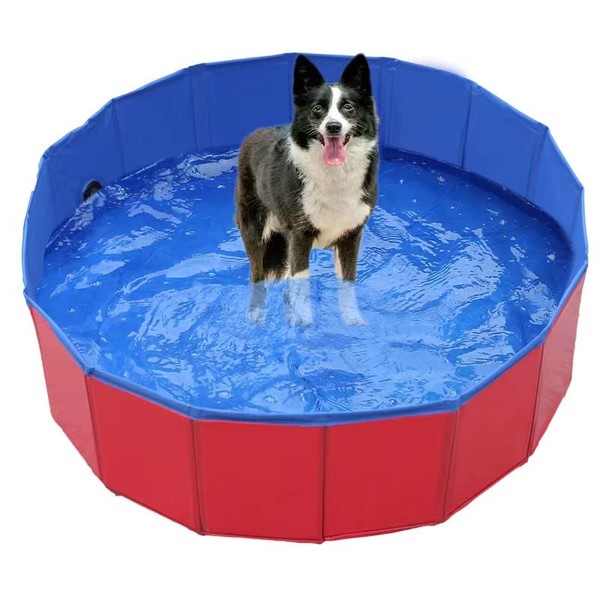 Dog Swimming Pool for Large and Small Dogs