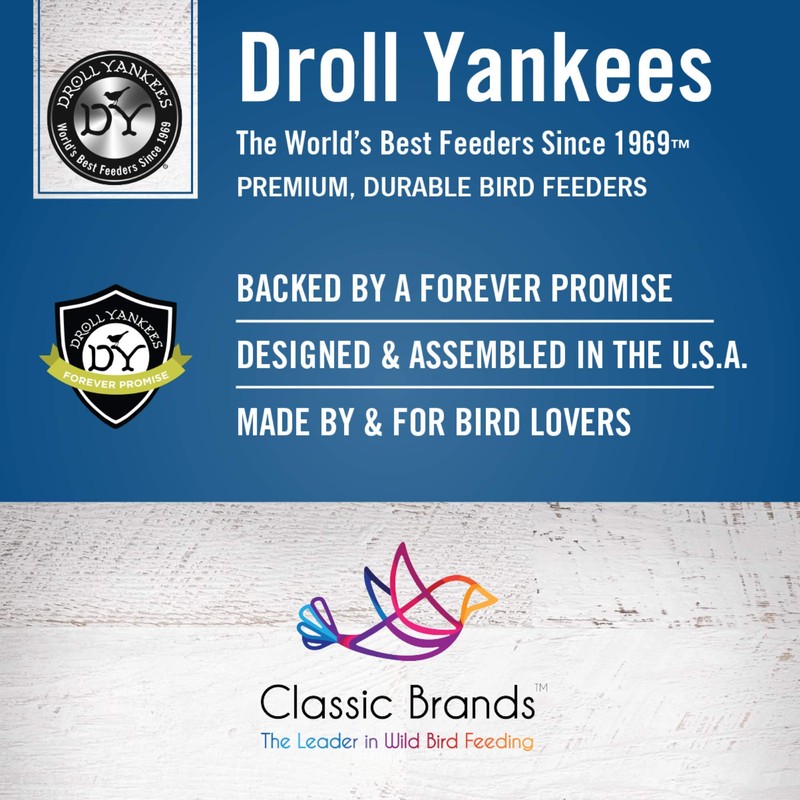 Droll Yankees OWF Observer Window Bird Feeder