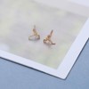 Cybche Gothic Small Dragon Stud Earrings Flying Dragon Earrings Dragon