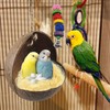 kathson Natural Coconut Shell Bird Nest,Hanging Coconut for Birds Parakeet