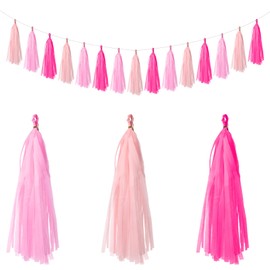 QFGasre 15pcs Hot Pink Light Pink Tissue Paper Tassel Garland Tissue Tassel Banners for Teachers Students Party Decorations DIY Kits Birthday Wedding Bridal Shower