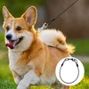 2 Pcs Anti Chew Dog Lead,Extension Leads for Collar And
