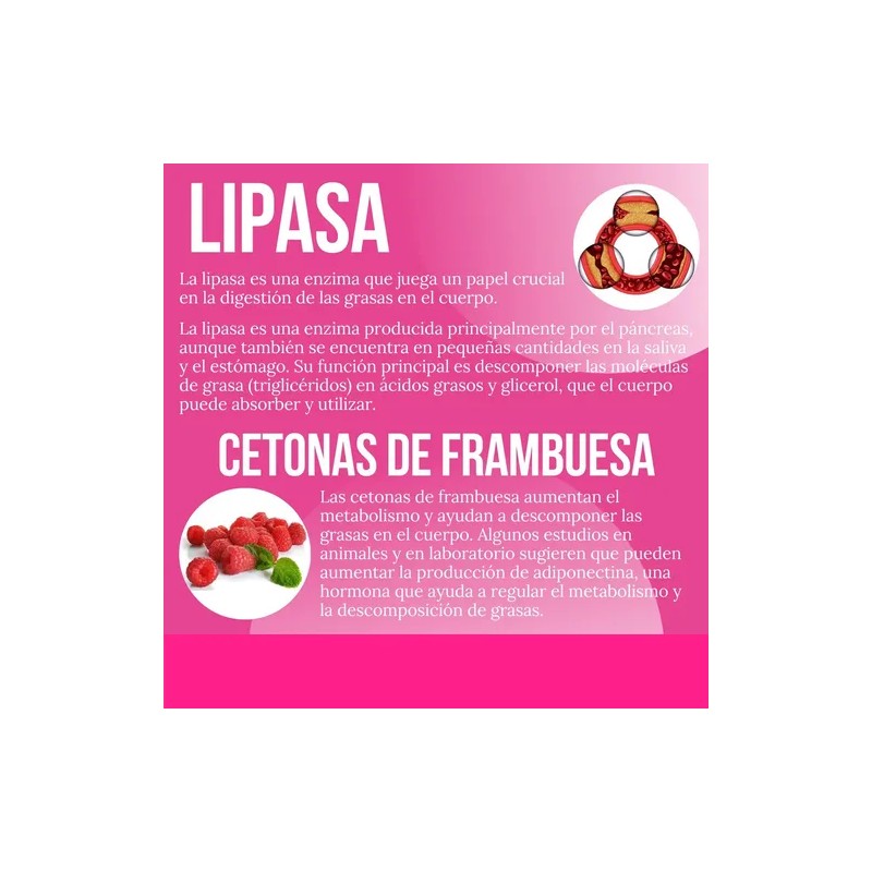 Creatina Monohidratada + Quemador Reductivo Con Lipoenzimas Sabor Sin Sabor