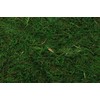 Moss Mat