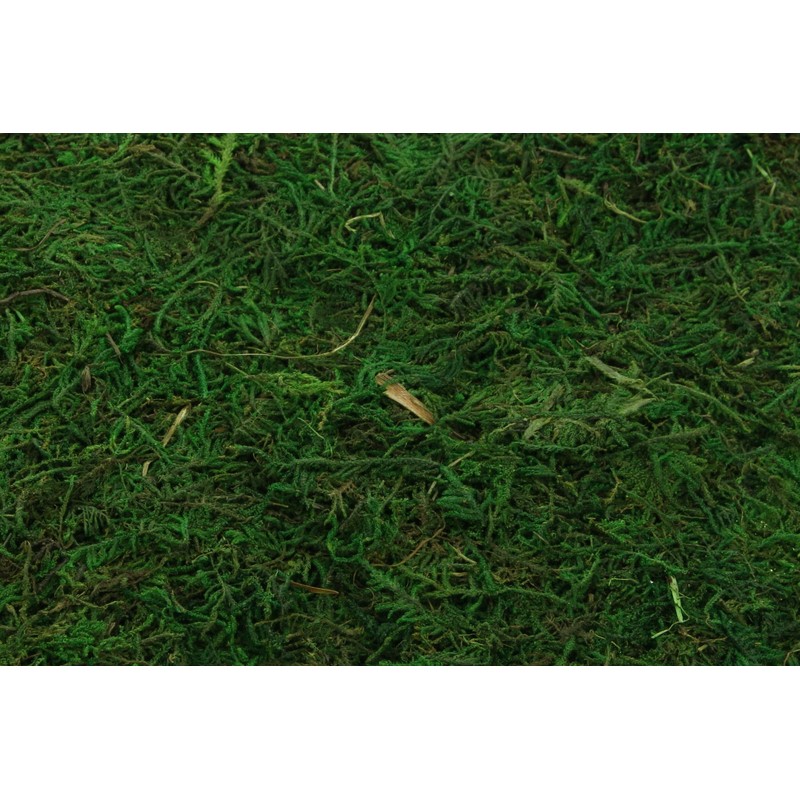 Moss Mat