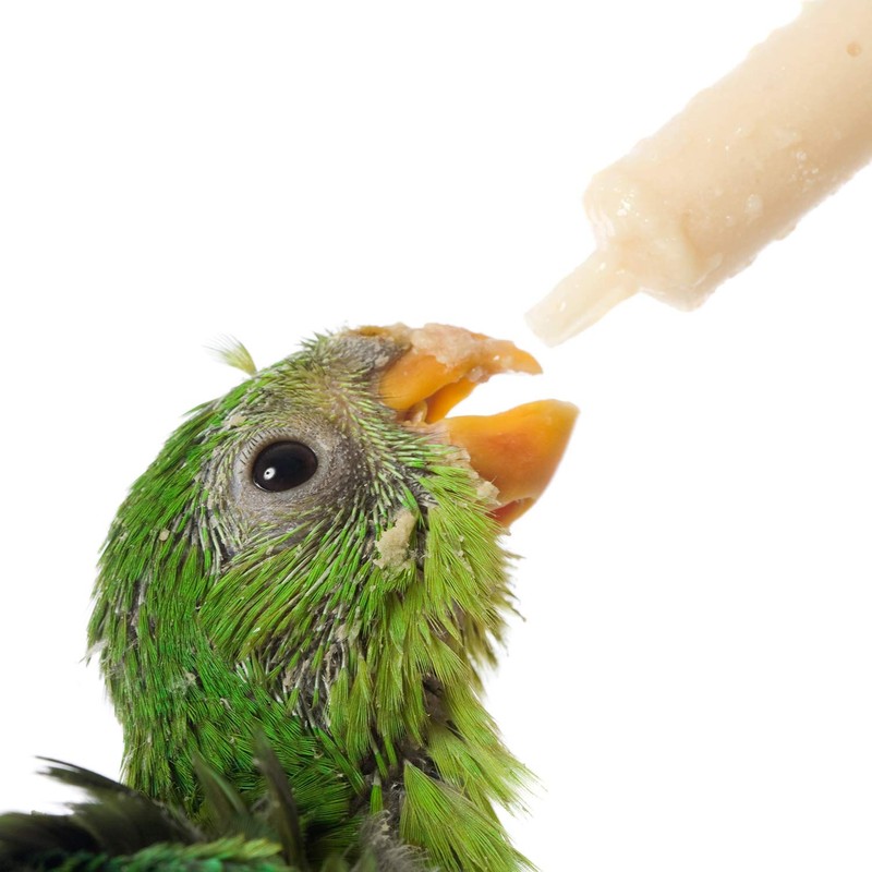 Frienda Large Plastic Syringe 4 Pack Measuring Syringe Tools Dispensing