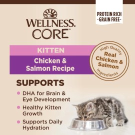 Wellness Core Grain Free High Protein Kitten Wet Cat Food Chicken Salmon 12 Pack