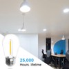 Jslinter S14 5000K Daylight Outdoor String Lights Bulbs Replacement, Shatterproof