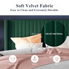 Allewie Queen Size Bed Frame/Velvet Upholstered Platform Bed/Vertical Channel Tufted