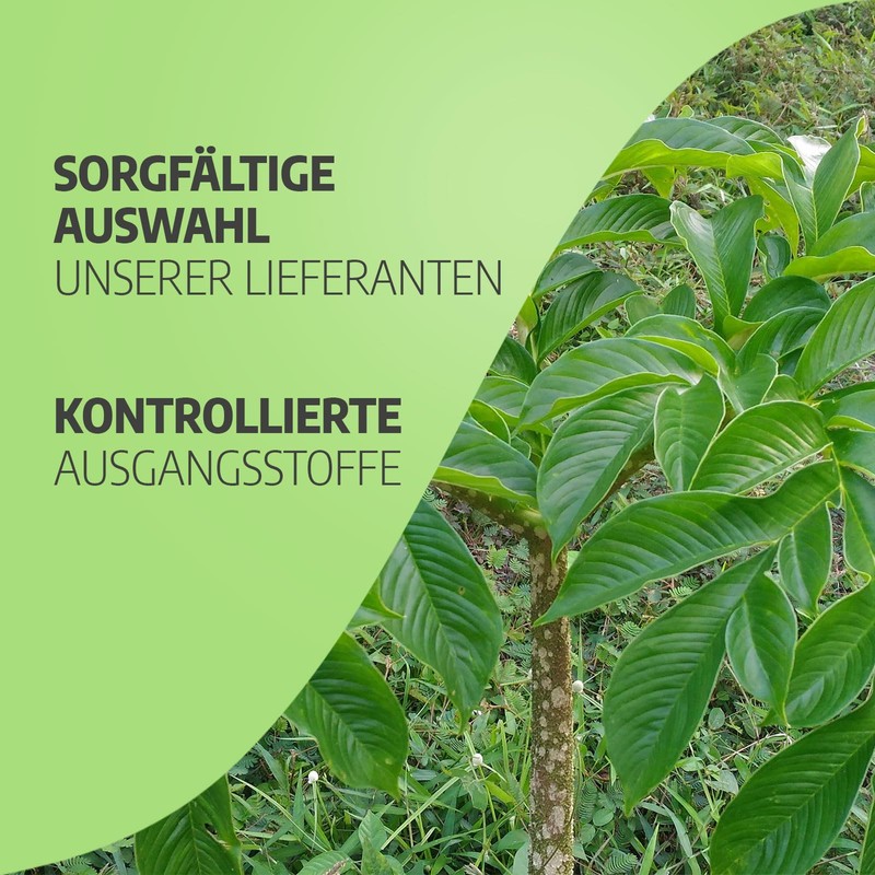 Konjak 625 mg 90 Capsules - 4000 mg Glucomannan per
