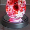 NKLS-3SL Luminous Coaster [Round Shape for Herbarium (Silver)] Display Figure