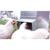 RentACoop Galvanized Chicken Tough Feeder, Weatherproof Poultry Food Dispenser with