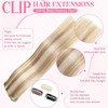 Tebelove Clip in Hair Extensions Real Human Hair 3.8oz/105g Clip