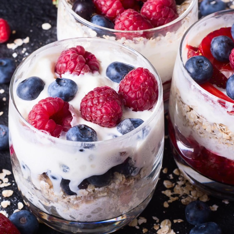 Phoenix Fungi Skyr Yogurt Starter Culture – Live Beneficial Bacteria