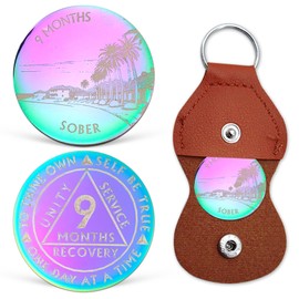 9 Months Sobriety Chip Colorful AA Coin Recovery Medallions One Day at A Time Sober Token Nine Months Sobriety Gifts for Men Women Alcoholics Anonymous Gifts