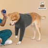 Queenmore Dog Recovery Sleeve for Front, Breathable Elbow Protector After