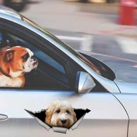 fabisup White Goldendoodle car, 3D Sticker, pet, Dog Magnet Vinyl 3D Realistic Husky Dog Car Stickers.