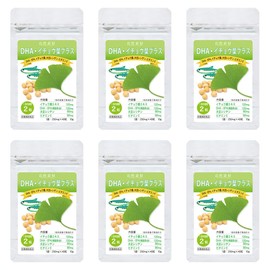 大日ヘルシーフーズ DHA EPA イチョウ葉 40粒入×6袋（120日分） 大豆レシチン ビタミンE 配合 サプリ