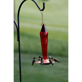 Songbird Essentials Ruby Faceted Glass Hummingbird Feeder, Bird Feeder for Patio, Yard and Garden