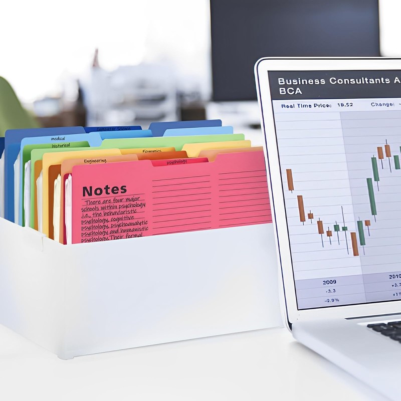 DBAILY Document Folder A4, Pack of 16 A4 Document Folder