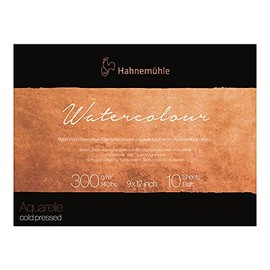 Hahnemuhle Collection - Acuarela de 300 bloques prensado en frío, 9 x 12 pulgadas, 300 g/m², 9 x 12 pulgadas, color blanco