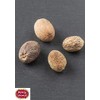 Spicy World Whole Nutmeg Indian Spice, 3.5 Ounce