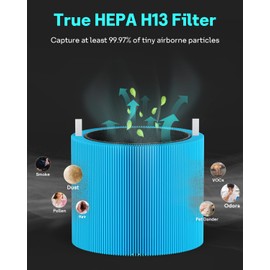 Leemone 2 Pack mini Max AllergenBlock Filter Compatible with Blueair Blue Pure Mini Max Air Purifiers, True HEPA H13 Filter & Activated Carbon FMINI Filter