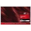 Schwarzkopf Brilliance 37 Hypnotic Red