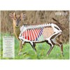 BushWear Muntjac Target Posters (4 pack) Targets (73978)