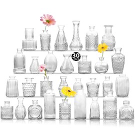 TCooSo Glass Bud Vase Set of 30, Clear Bud Vases in Bulk, Small Flower Vases for Table Centerpieces, Mini Vintage Vases for Rustic Wedding Party, Bridal Shower, Home Decoration (30 Pack)