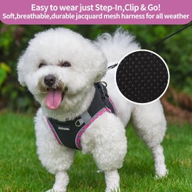 AIITLE Small Dog Harness, Spring No-Pull Cat Harness with a Leash, Step in Adjustable Dog Harness with Quick-Release Buckle, Reflective Outdoor Pet Vest for Extra Small Dogs and House Cats Black XXS