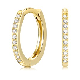 Gold Hoops Earrings for Women, 925 Sterling Silver Earrings Hoops, Hypoallergenic Small Silver Sleeper Hoops Earrings (10mm)