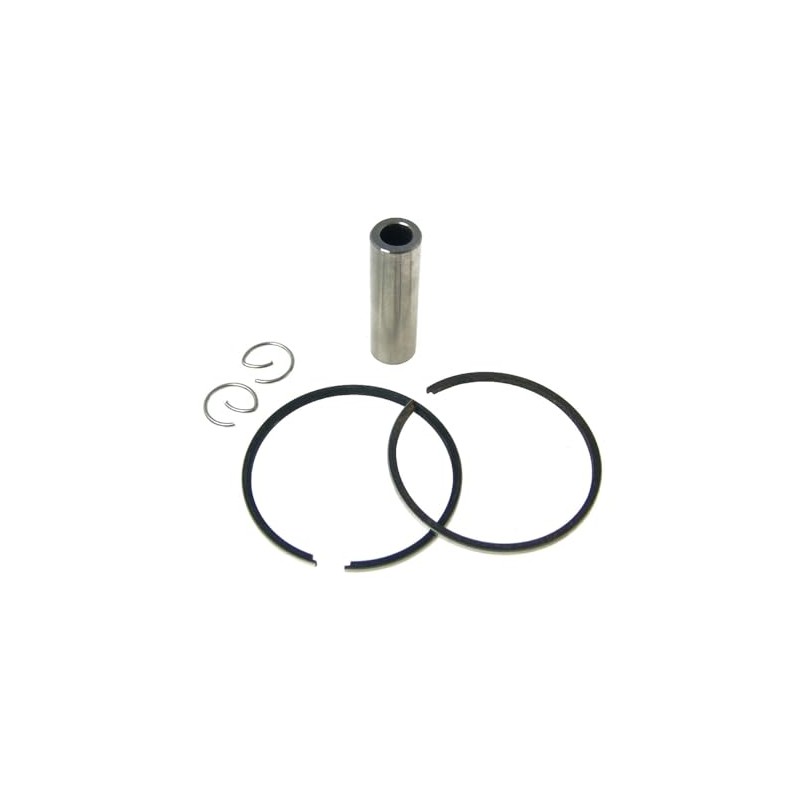 Piston 50 cc Compatible with PEGASUS R50X 2T AC, Sky