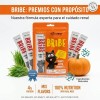 50 Premios Para Gato Cuidado Renal Probióticos Salmon
