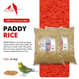 Morning Bird Paddy Rice Bird Seed for Optimal Health & Nutritious Pet Bird Food – Supports Feathers & Immunity – Ideal for All Seed Eating Birds.18 lbs (2-Pack, 9 lbs Each)