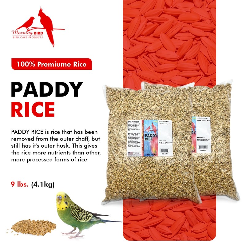 Morning Bird Paddy Rice Bird Seed for Optimal Health &