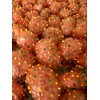 Freeze Dried Cluster Puffs Candy Snack Bonbon