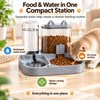 2-in-1 Gravity Pet Feeder and Water Dispenser Bowl for Cats