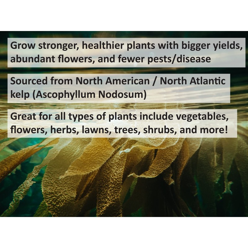 Young Urban Farmers Kelp Meal 800g