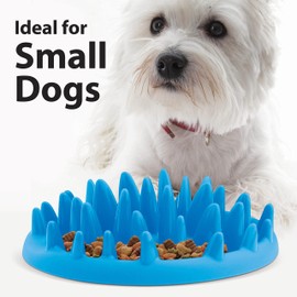 VFM - Slow Feeder Dog Bowl, Cat Bowl, Dog Bowl to Slow Down Eating, Cat Puzzle Feeder, Feeding Tool for Healthy Pets, Dog Puzzle, Cat Feeders (Blue)